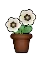 Florist